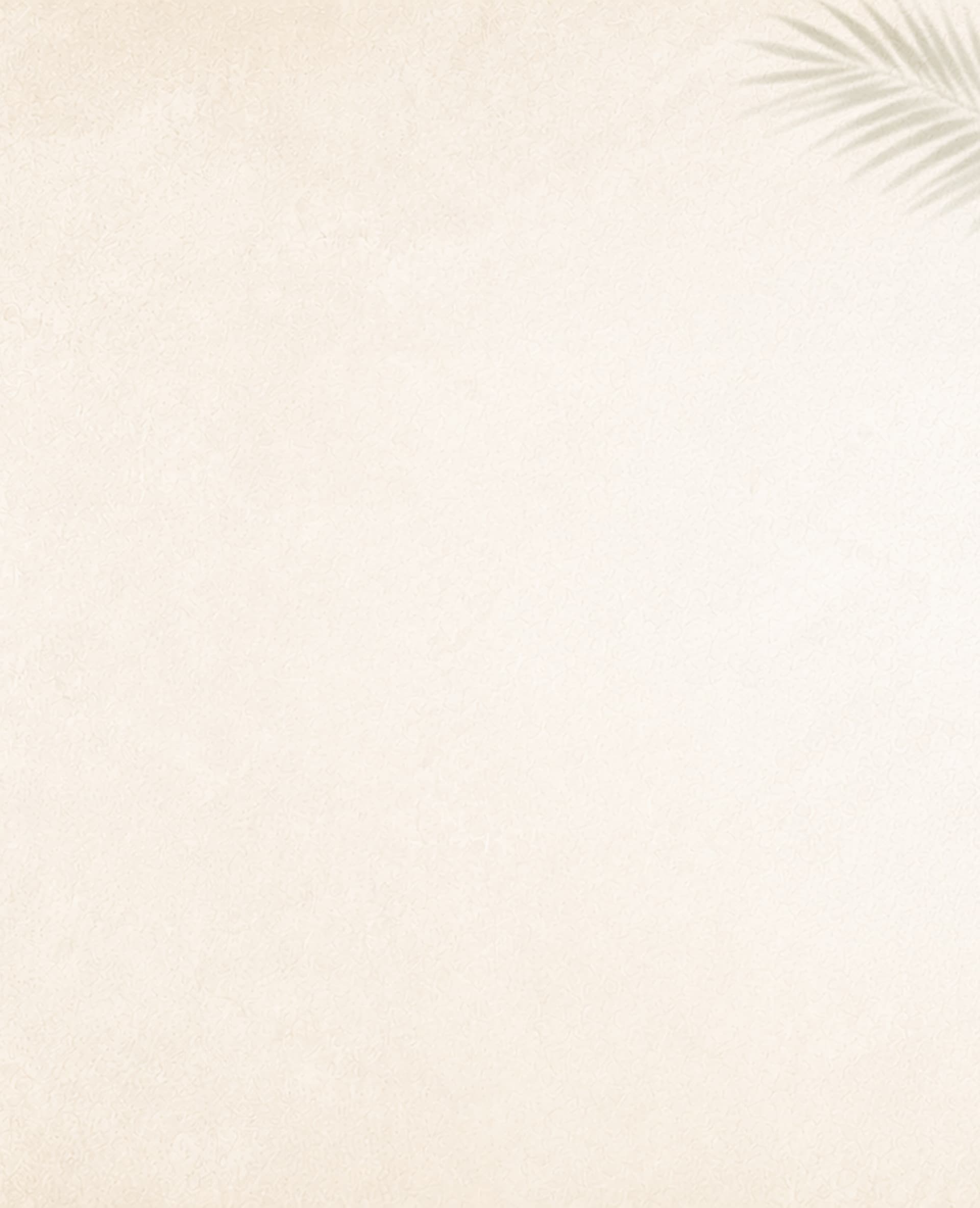 Projects Page Single Background Texture