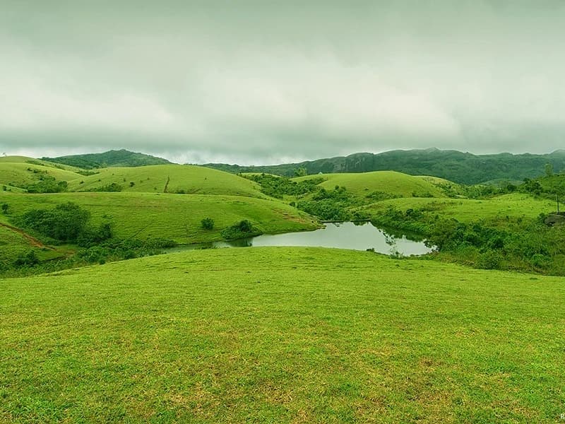 Vagamon Meadows
